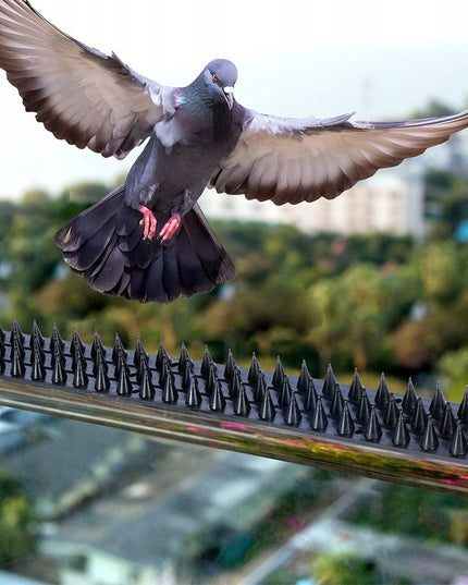 Spygliai nuo paukščių balandžių apsaugai, juodi, plastikiniai, 500cm (5m)