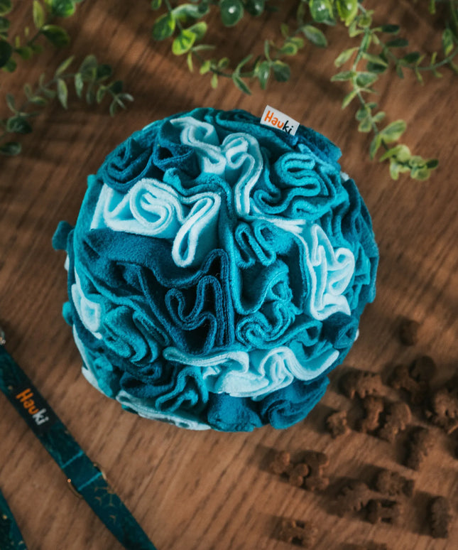 Hauki uostymo kamuolys šunims | 15 cm dydis | Aqua raštas