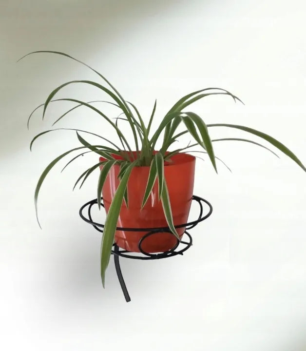 Pakabinamas sieninis metalinis gėlių stovas, juodas, 30 cm, dekoracija