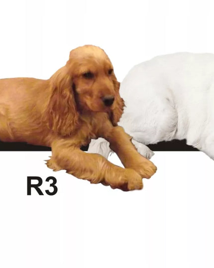 Hobbydog R2 CESARSKIE PERFECT šuns guolis iš eko odos, 84x65 cm