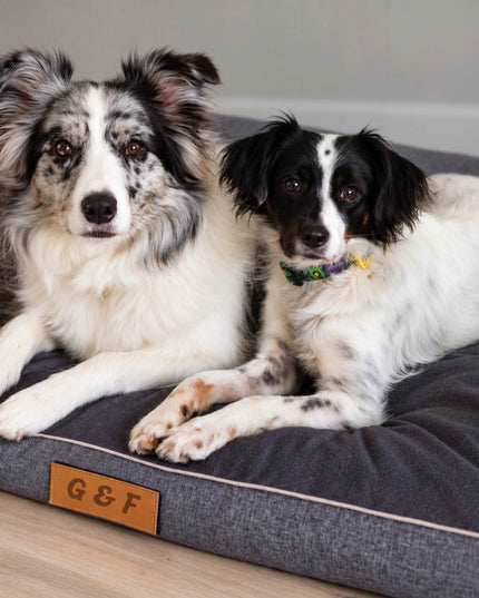 DOGESTE XXL vandeniui atsparus guolis-sofa dideliam šuniui, 118 × 78 cm, su nuimamu užvalkalu ir personalizavimo galimybe