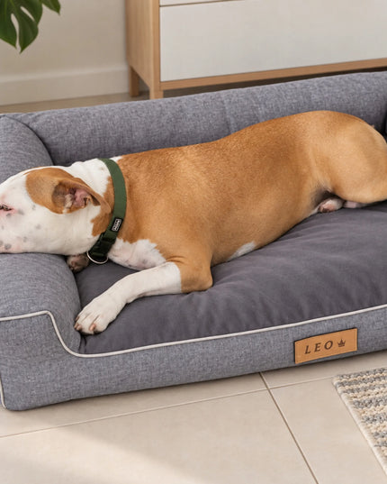 DOGESTE XXL vandeniui atsparus guolis-sofa dideliam šuniui, 118 × 78 cm, su nuimamu užvalkalu ir personalizavimo galimybe