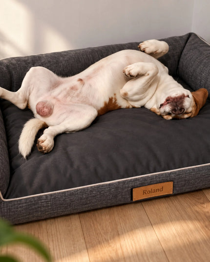 DOGESTE XXL vandeniui atsparus guolis-sofa dideliam šuniui, 118 × 78 cm, su nuimamu užvalkalu ir personalizavimo galimybe