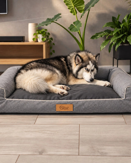 DOGESTE XXL vandeniui atsparus guolis-sofa dideliam šuniui, 118 × 78 cm, su nuimamu užvalkalu ir personalizavimo galimybe
