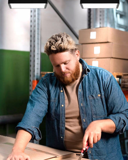 LED Pakabinamas Pramoninis Šviestuvas 50W 5000lm 230V Labai Galingas Šviestuvas su Laikikliais