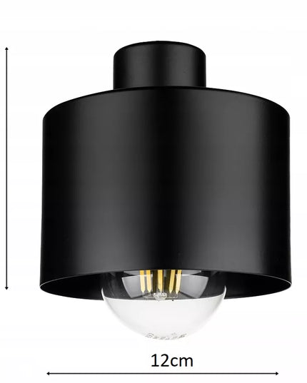 Sieninis šviestuvas LOFT Edison LED su jungikliu