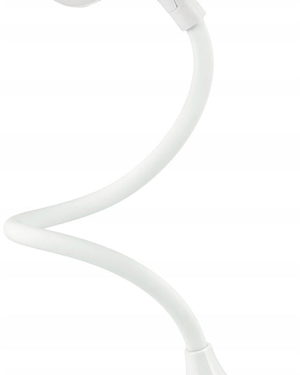 Stalinė LED lemputė su spaustuku, 5W, pritemdoma, su USB, 230V