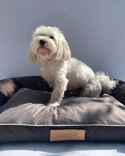 DOGESTE L dydžio vandeniui atsparus šuns guolis-sofa su nemokamu personalizuotu užrašu, 82 × 50 cm