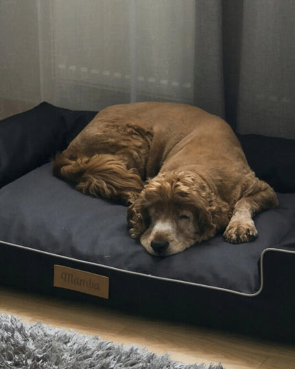 DOGESTE L dydžio vandeniui atsparus šuns guolis-sofa su nemokamu užrašu, 82 × 50 cm