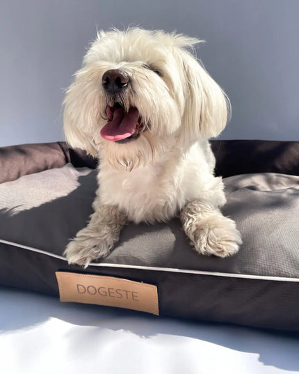 DOGESTE L dydžio vandeniui atsparus šuns guolis-sofa su nemokamu personalizuotu užrašu, 82 × 50 cm