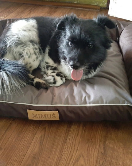 DOGESTE L dydžio vandeniui atsparus šuns guolis-sofa su nemokamu personalizuotu užrašu, 82 × 50 cm