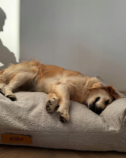 DOGESTE Teddy XL pilkas šuns guolis-sofa, 100 × 65 cm, su nemokamu personalizuotu užrašu