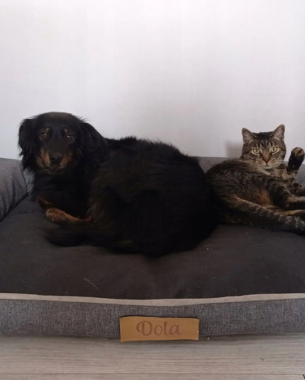 DOGESTE XL vandeniui atsparus šunų guolis-sofa su nemokamu siuvinėjimu, 100 × 65 cm