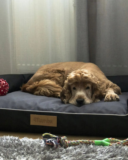 DOGESTE XL vandeniui atsparus šuns guolis-sofa su nemokamu užrašu, 100 × 65 cm