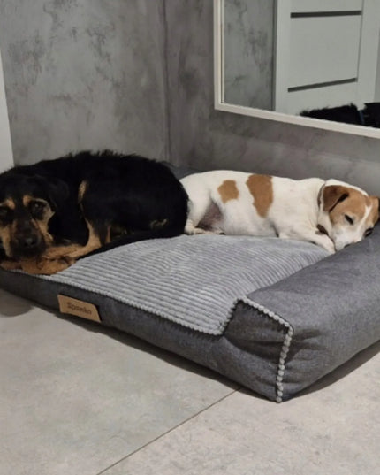 DOGESTE XXL šunų guolis-sofa, velvetinis, pilkas, su nemokamu personalizavimu, 118 × 78 cm