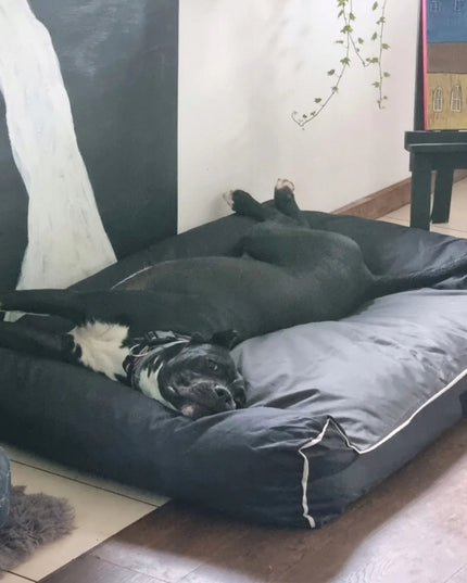 DOGESTE XXL vandeniui atsparus šuns guolis-sofa su nemokamu siuvinėjimu, 118 × 78 cm
