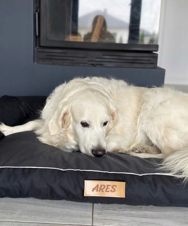 DOGESTE XXL vandeniui atsparus šuns guolis-sofa su nemokamu siuvinėjimu, 118 × 78 cm