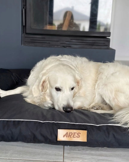 DOGESTE XXL vandeniui atsparus šuns guolis-sofa su nemokamu siuvinėjimu, 118 × 78 cm