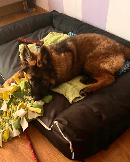 DOGESTE XXL vandeniui atsparus šuns guolis-sofa su nemokamu siuvinėjimu, 118 × 78 cm