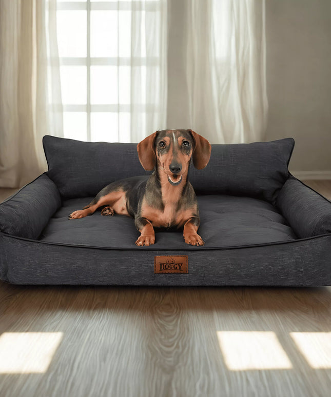 Šuns guolis – vandeniui atsparus aptvaras – sofa šunims – L 64x49 cm
