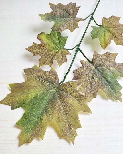 Rudens klevo lapas, samanotas žaliai rudas, 59 cm, lapų puokštė