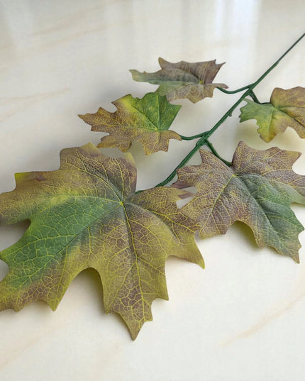 Rudens klevo lapas, samanotas žaliai rudas, 59 cm, lapų puokštė
