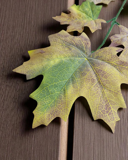 Rudens klevo lapas, samanotas žaliai rudas, 59 cm, lapų puokštė