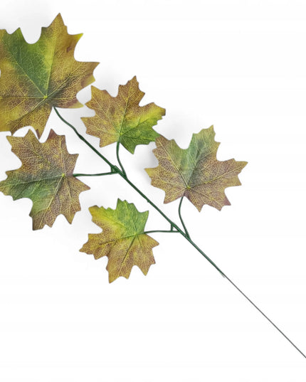 Rudens klevo lapas, samanotas žaliai rudas, 59 cm, lapų puokštė