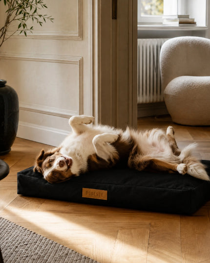 DOGESTE XL vandeniui atsparus šuns čiužinys-guolis su personalizavimu, 90 × 66 cm, juodas