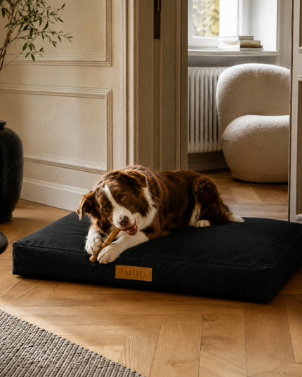 DOGESTE XL vandeniui atsparus šuns čiužinys-guolis su personalizavimu, 90 × 66 cm, juodas