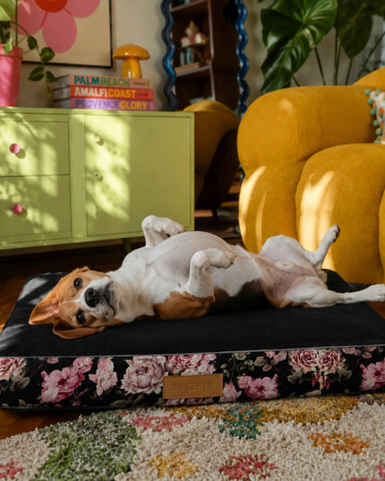 DOGESTE XL šuns čiužinys 90 × 66 cm, su personalizuotu siuvinėjimu, vandeniui atsparus guolis