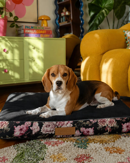 DOGESTE XL šuns čiužinys 90 × 66 cm, su personalizuotu siuvinėjimu, vandeniui atsparus guolis