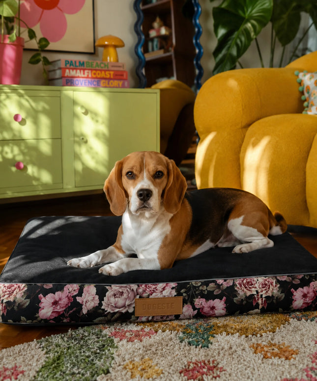 DOGESTE XL šuns čiužinys 90 × 66 cm, su personalizuotu siuvinėjimu, vandeniui atsparus guolis