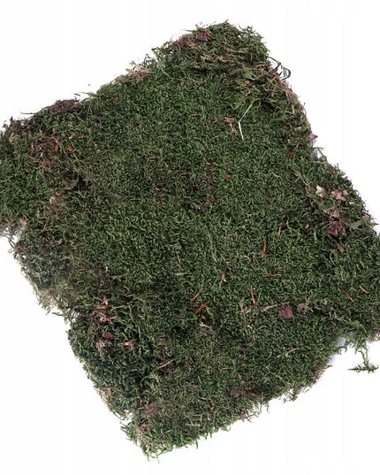 Natūralios samanos terrariumui, saugios