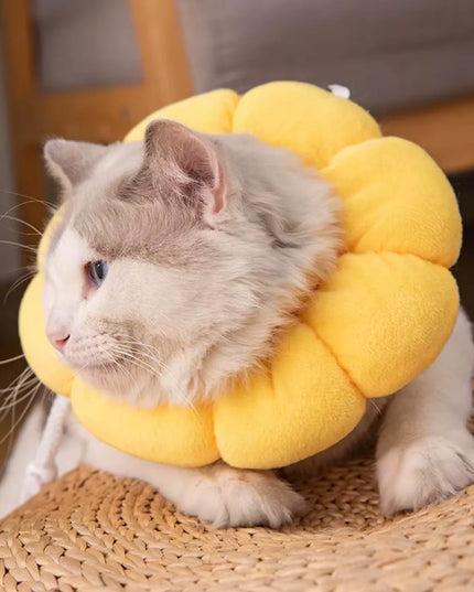 Minkštas pliušinis pooperacinis apykaklė katei ir šuniui, S (2-4 kg)