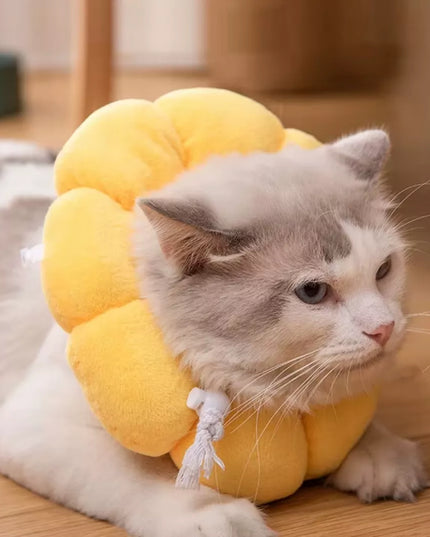 Minkštas pliušinis pooperacinis apykaklė katei ir šuniui, S (2-4 kg)