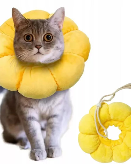 Minkštas pliušinis pooperacinis apykaklė katei ir šuniui, S (2-4 kg)