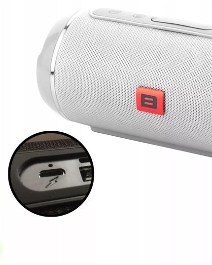 Galingas Bluetooth garsiakalbis USB SD Nešiojamas Belaidis Radijas Bokštas Boombox