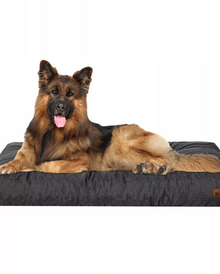 Dygstiniuotas vandeniui atsparus čiužinys, didelė guolis-sofa šunims XL 120x90