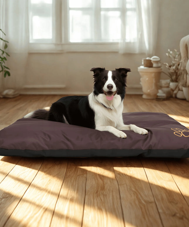 Šunų čiužinys, vandeniui atspari šunų guolio pagalvė, R2 100 x 70 cm