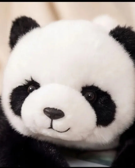 Sunkesnė pliušinė panda, 60 cm, 1 kg