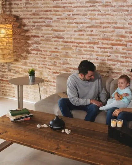 Oro drėkintuvas su aromaterapija CECOTEC Aroma 300 Ying su laikmačiu