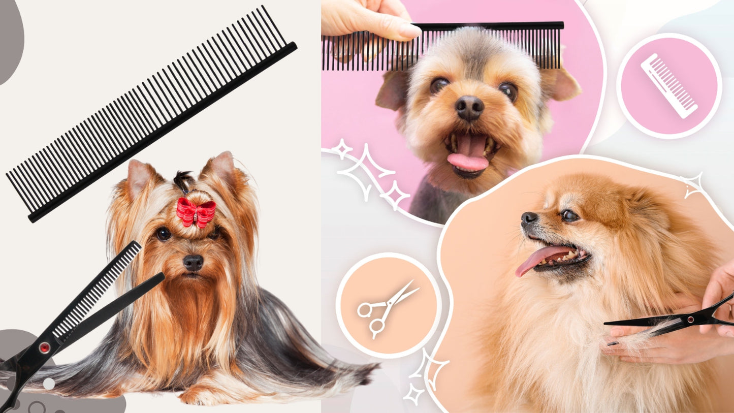 Kirpimo žirklės 7.0, grožio salono rinkinys 3+1 šunų kirpimui, kirpėjo