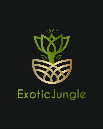 Oro drėkintuvas augalams ExoticJungle – aromaterapinis miglos difuzorius