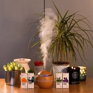 Oro drėkintuvas augalams ExoticJungle – aromaterapinis miglos difuzorius