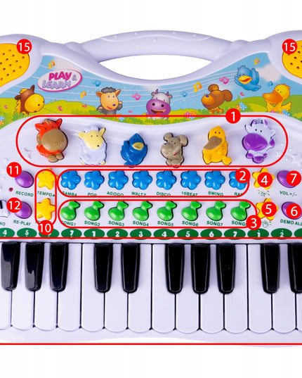 ORGANY VAIKIŠKAS MUZIKINIS INSTRUMENTAS EDUKACINIS ŪKIS GYVŪNŲ GARSŲ