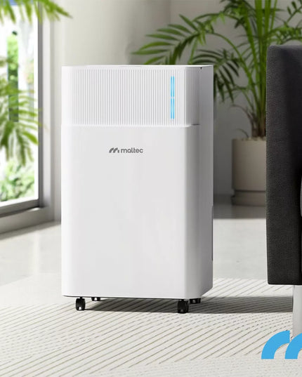 Oro sausintuvas drėgmės sugėriklis, surinkėjas tylus WiFi laikmatis higrostatas 12 l/24 val.