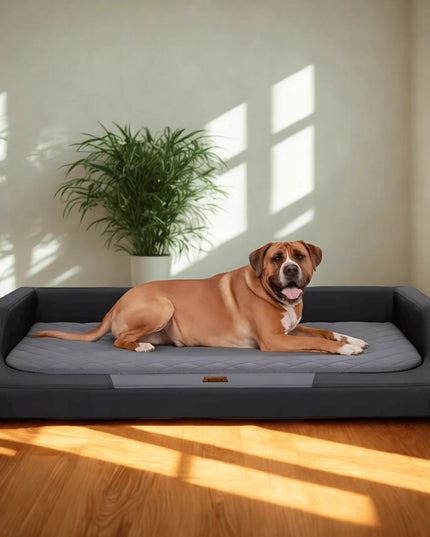 Ortopedinis guolis šunims – Hobbydog, 120 cm x 80 cm, storas čiužinys