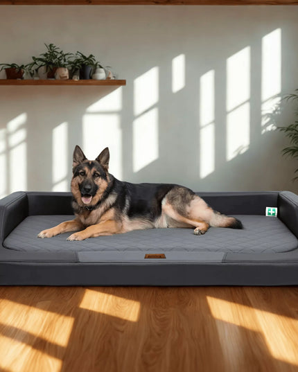 Ortopedinė šuns lova „Hobbydog Medico Lux XXL“ – 120 cm x 80 cm, juoda