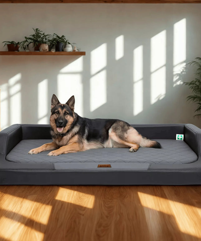 Ortopedinė šuns lova „Hobbydog Medico Lux XXL“ – 120 cm x 80 cm, juoda
